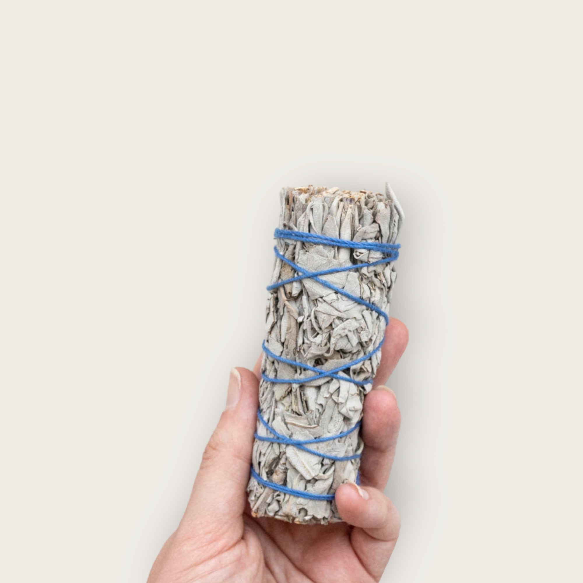 White Sage Smudge Stick