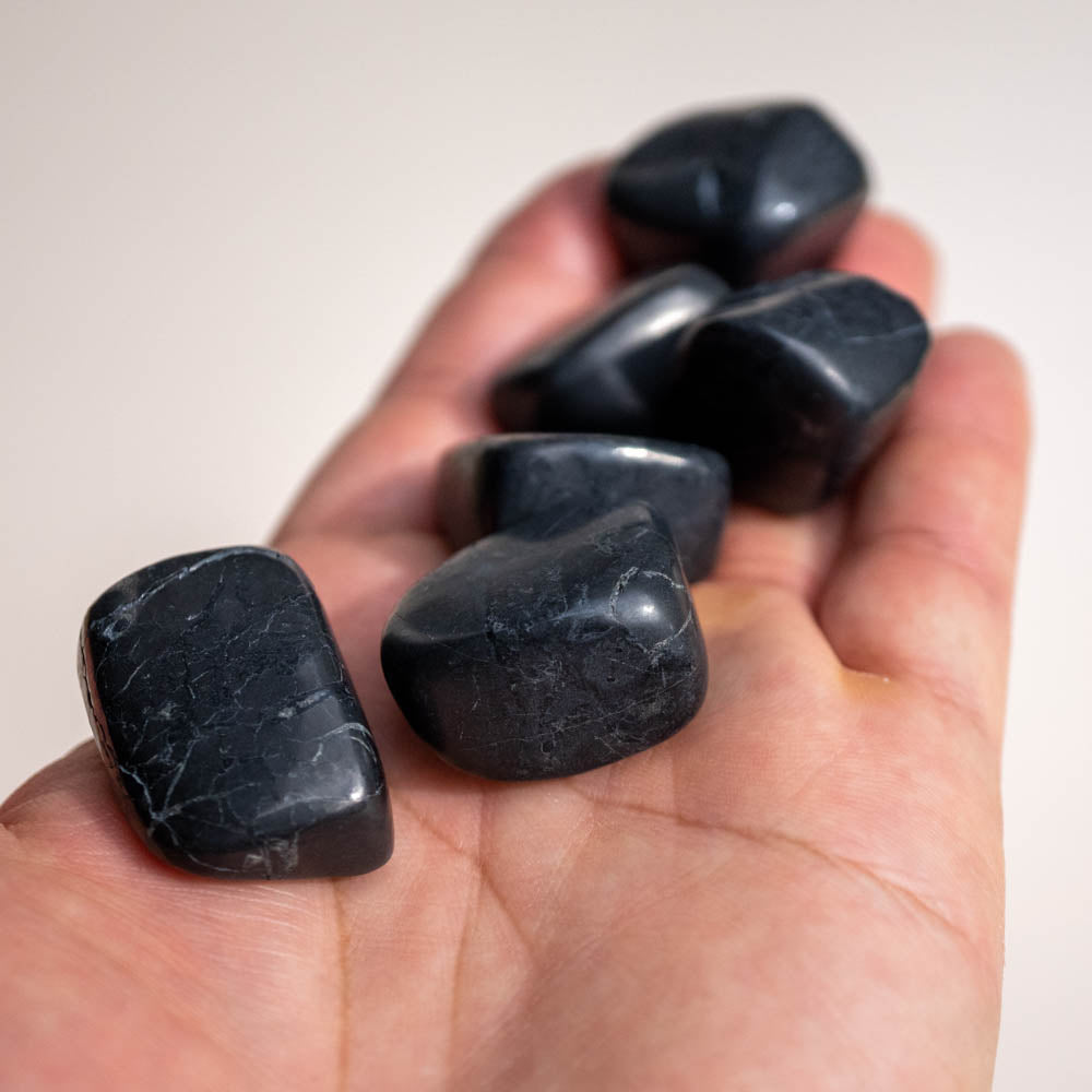 Shunguite