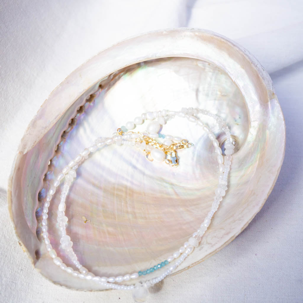 White abalone shell