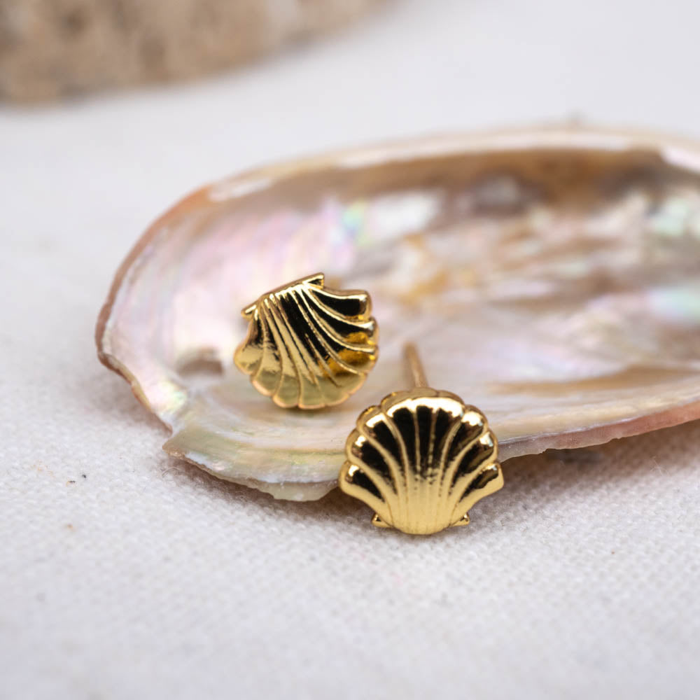 Gold scallop on sale shell earrings