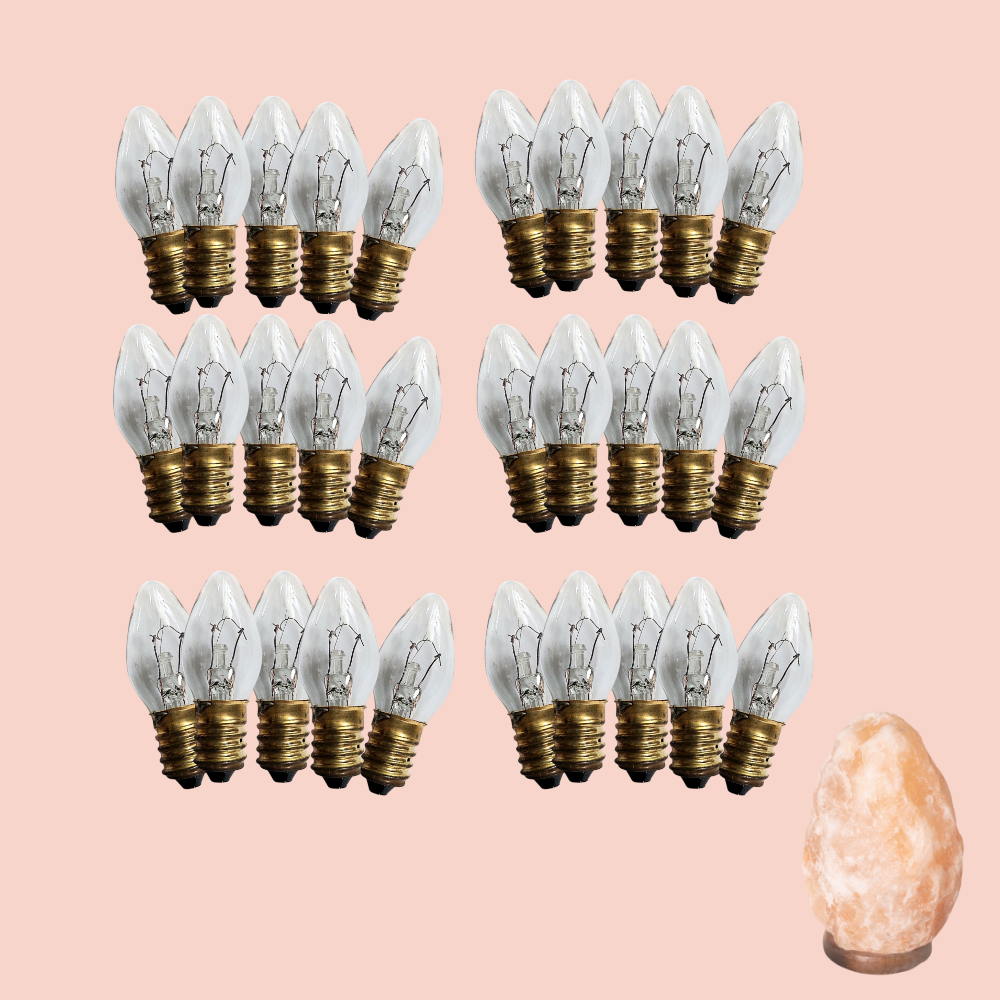 Bulk Buy Replacement Light Bulb for 12V DC Cord