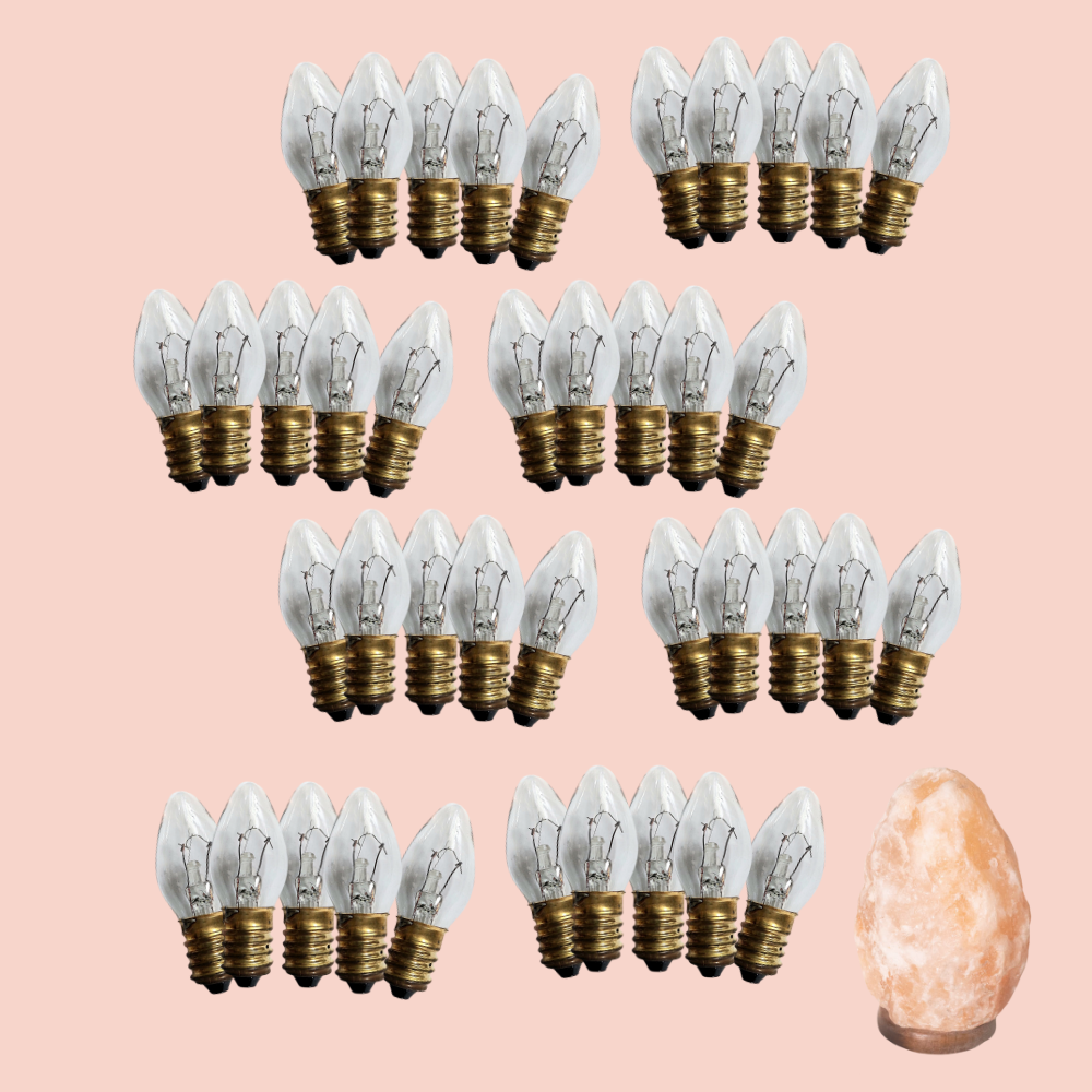 Bulk Buy Replacement Light Bulb for 12V DC Cord