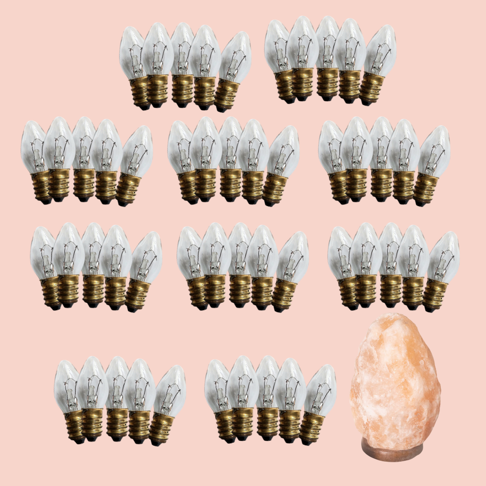 Bulk Buy Replacement Light Bulb for 12V DC Cord