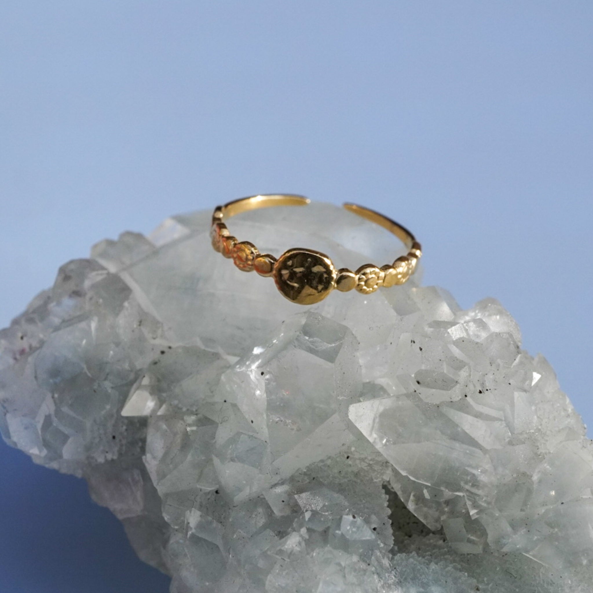 Lucky coin waterproof ring