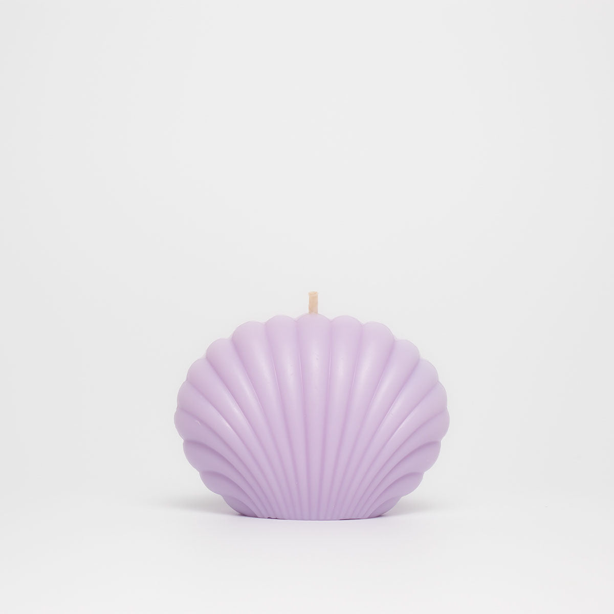shell candle