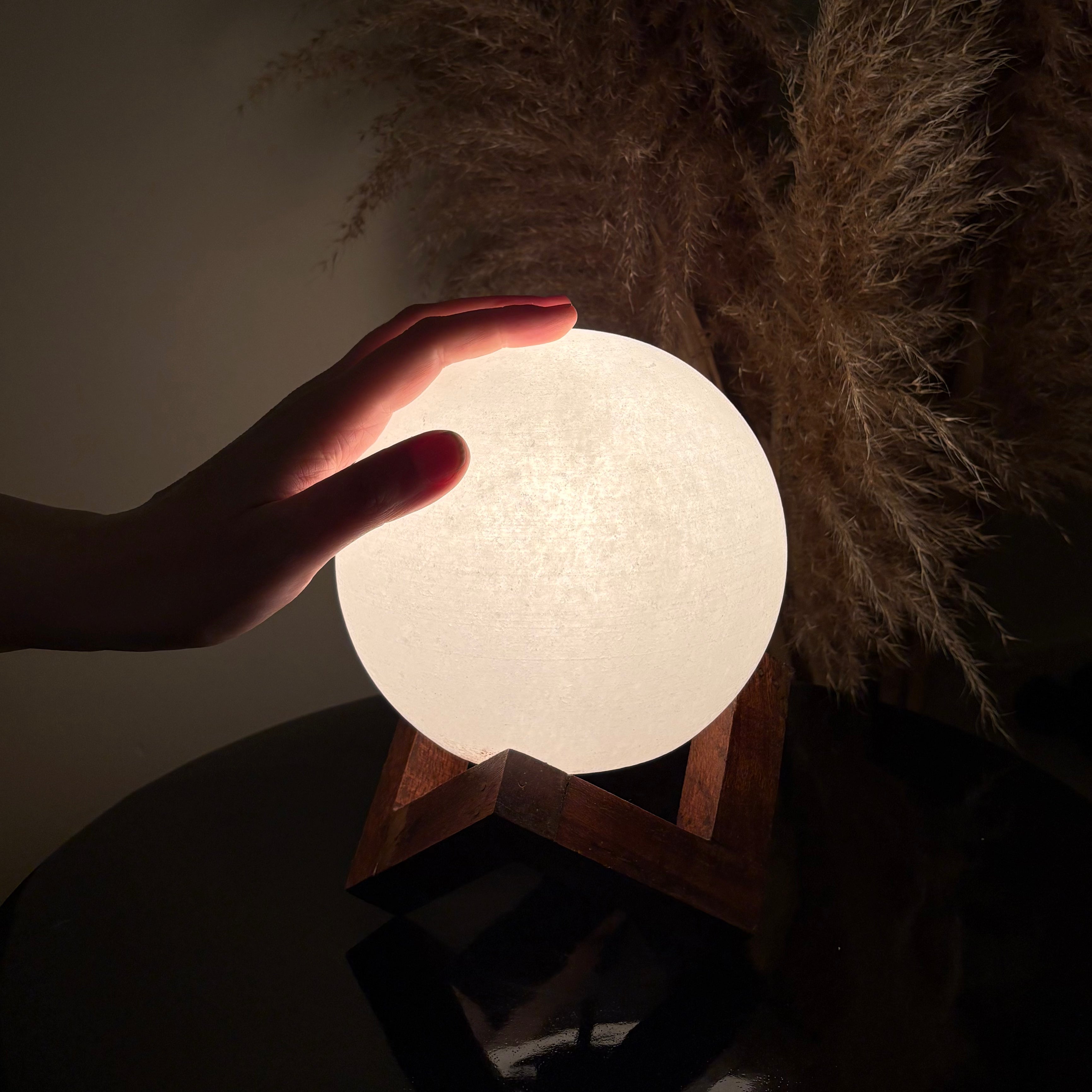 Hand touching a glowing moon-shaped white salt lamp with dried plants in the background