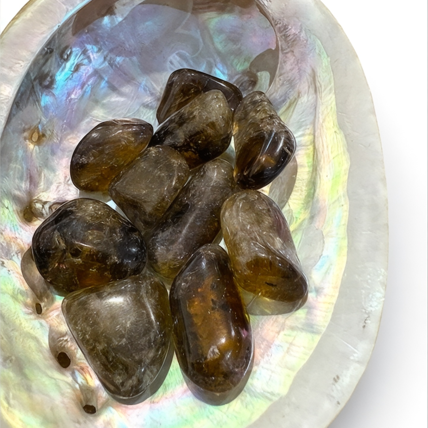 Kundalini Citrine Tumbled in White Abalone Shell