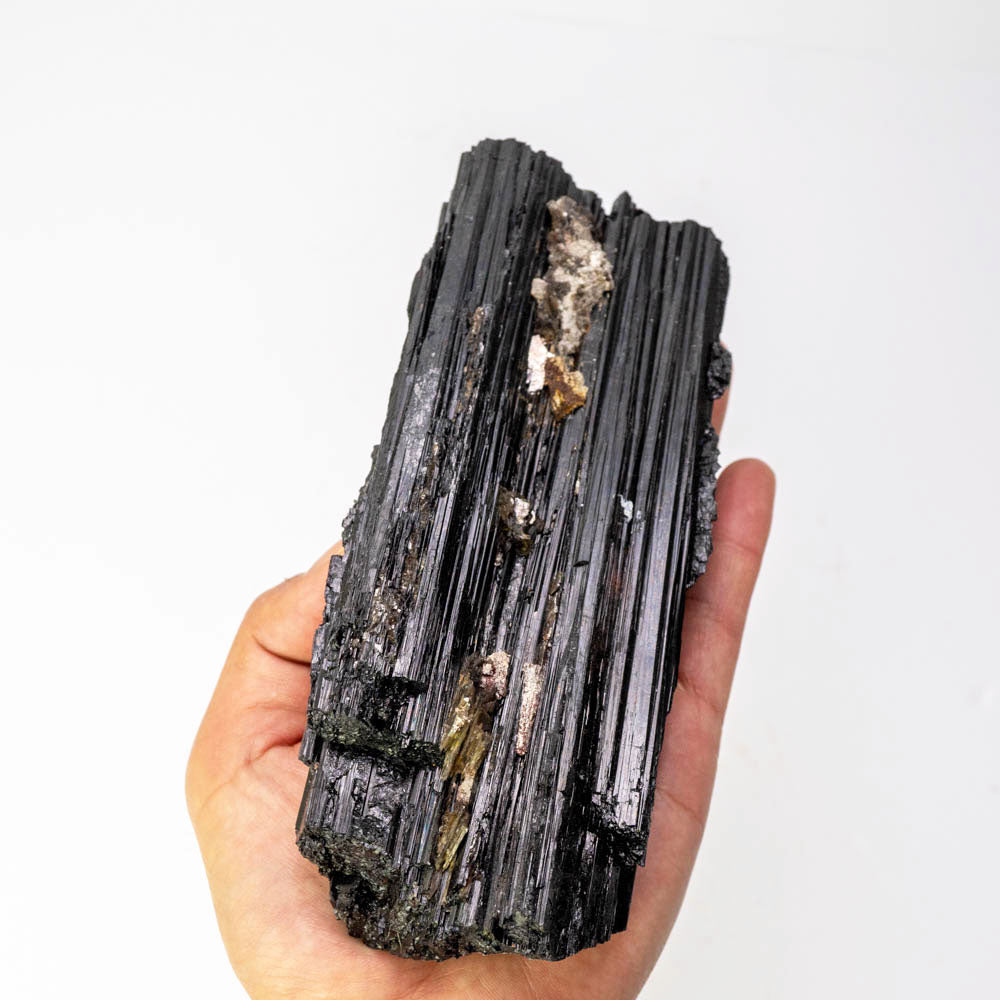 Black Tourmaline Large with Mica