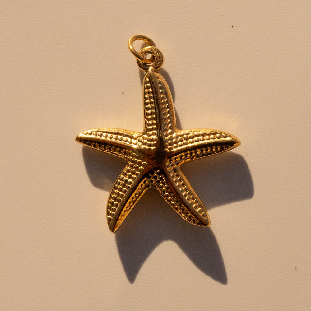 Starfish Charm