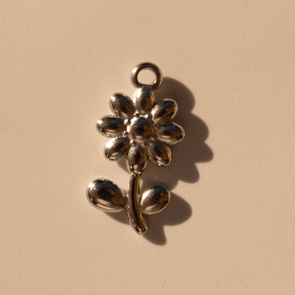Larger Charms Silver Edition