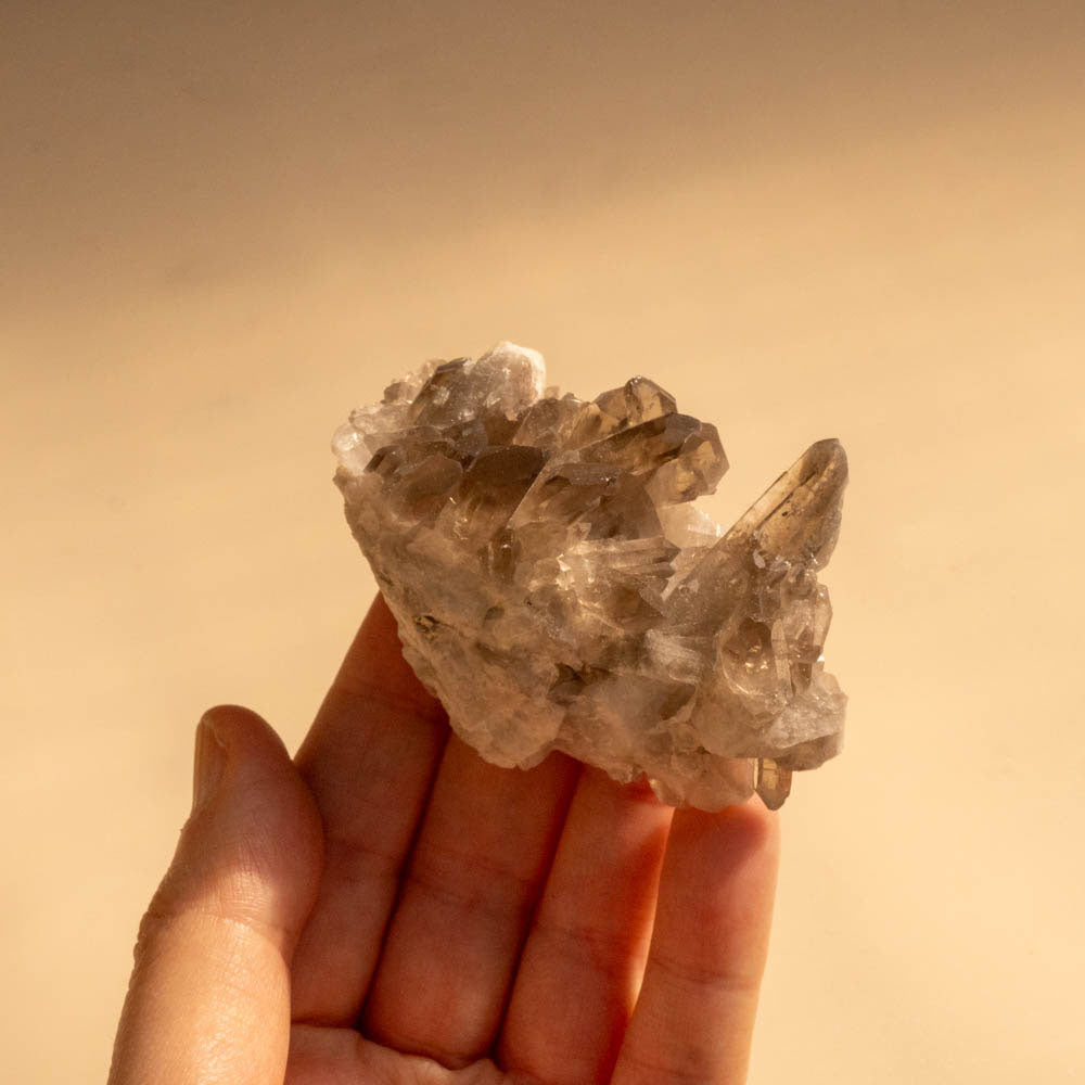 Smoky Quartz Cluster