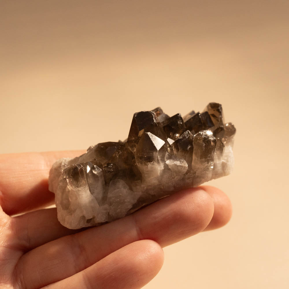 Smoky Quartz Crystal Cluster