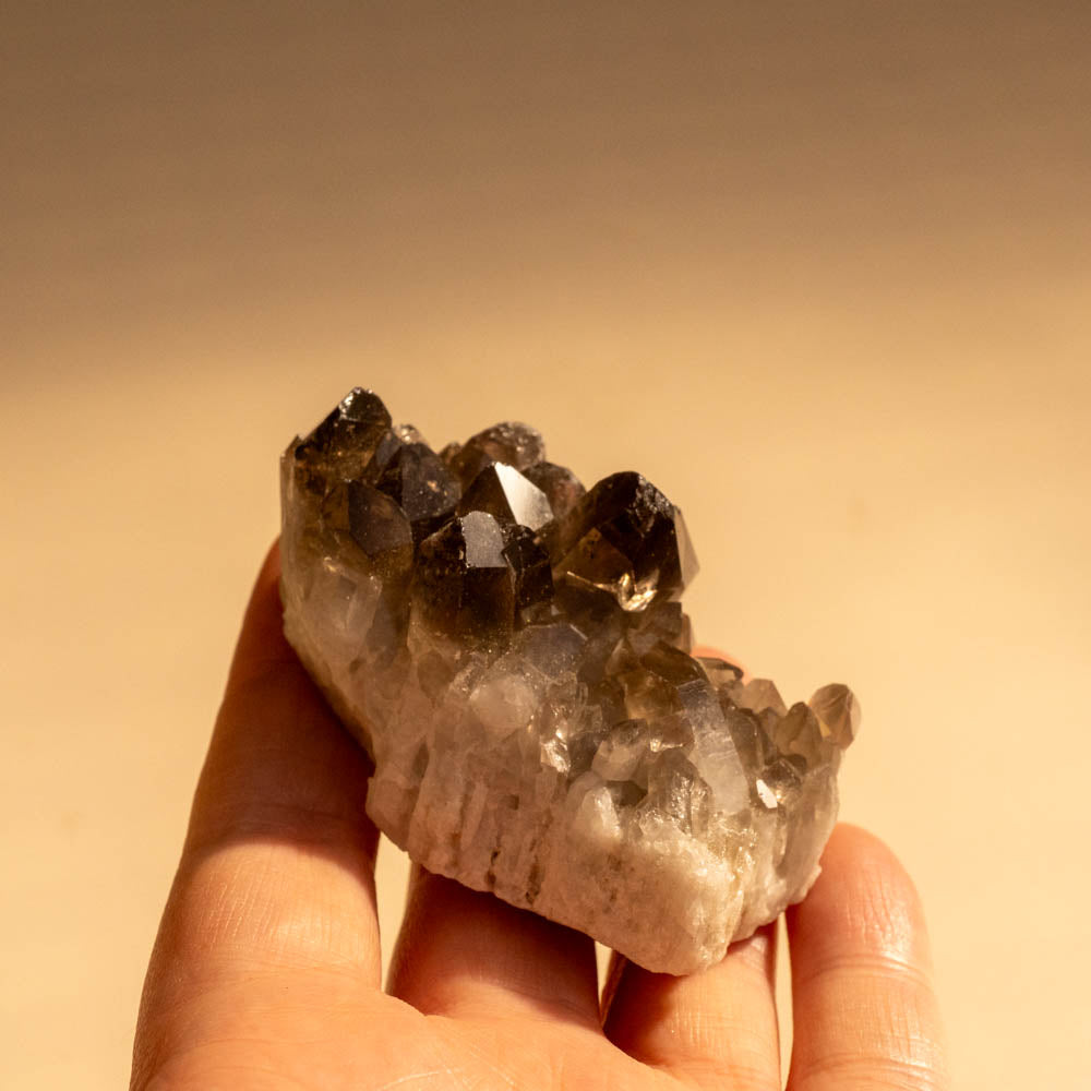 Smoky Quartz Crystal Cluster