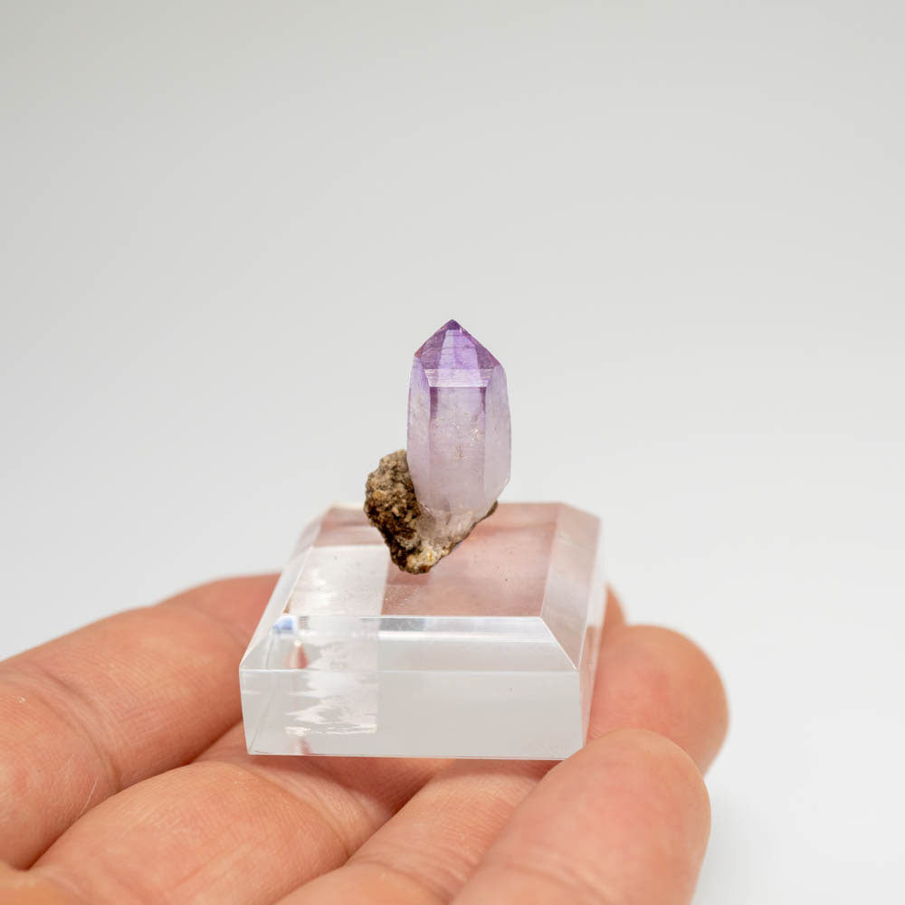 Vera Cruz Amethyst Crystal Cluster