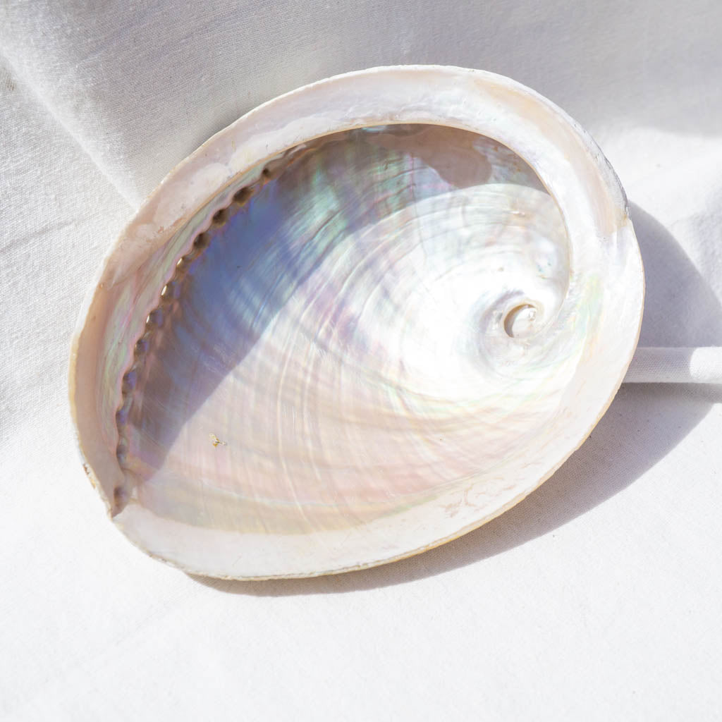 White Abalone Shell Crystal Dish