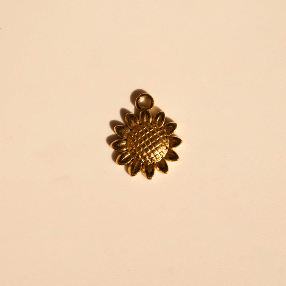 Standard Charms
