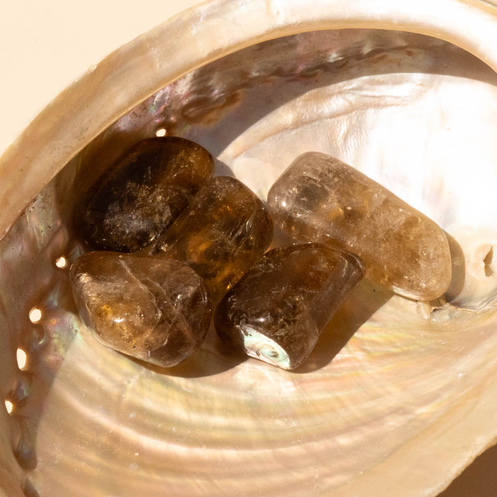 Close-up of Kundalini Citrine Tumbled Stones inside a shell