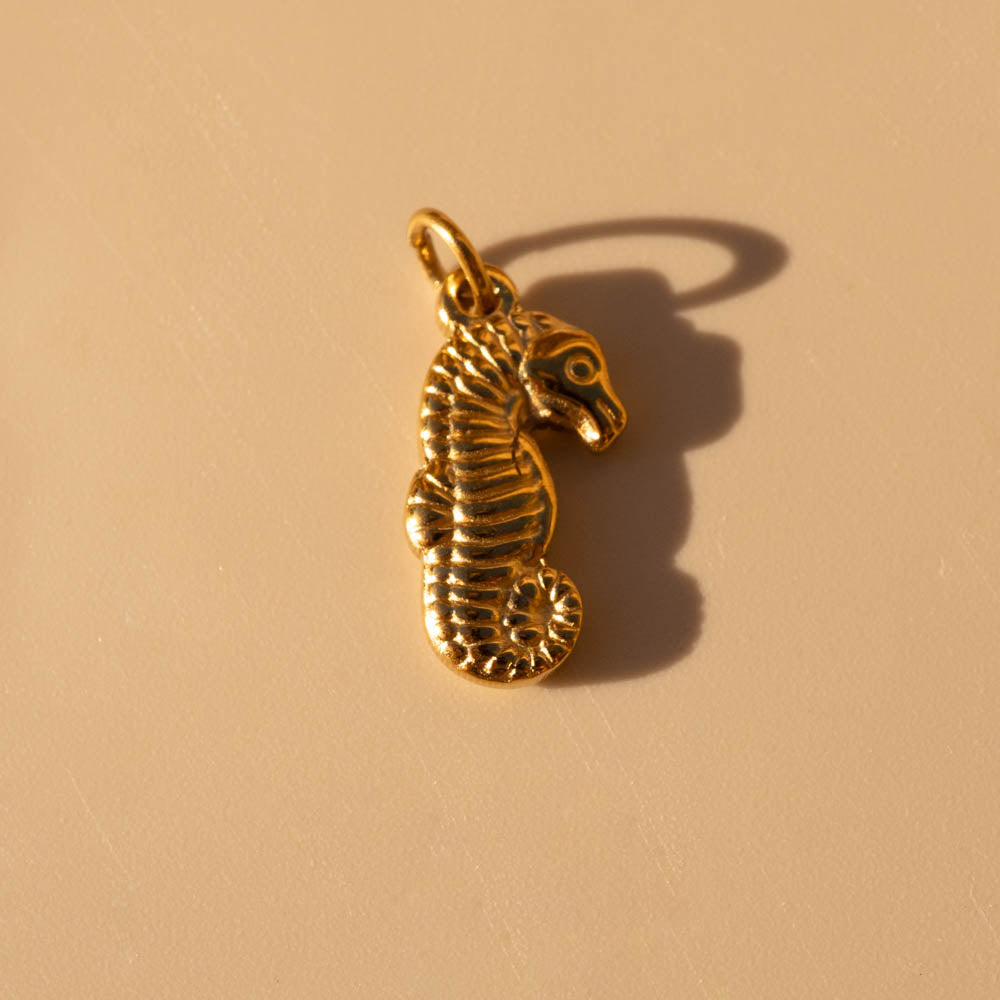 Standard Charms