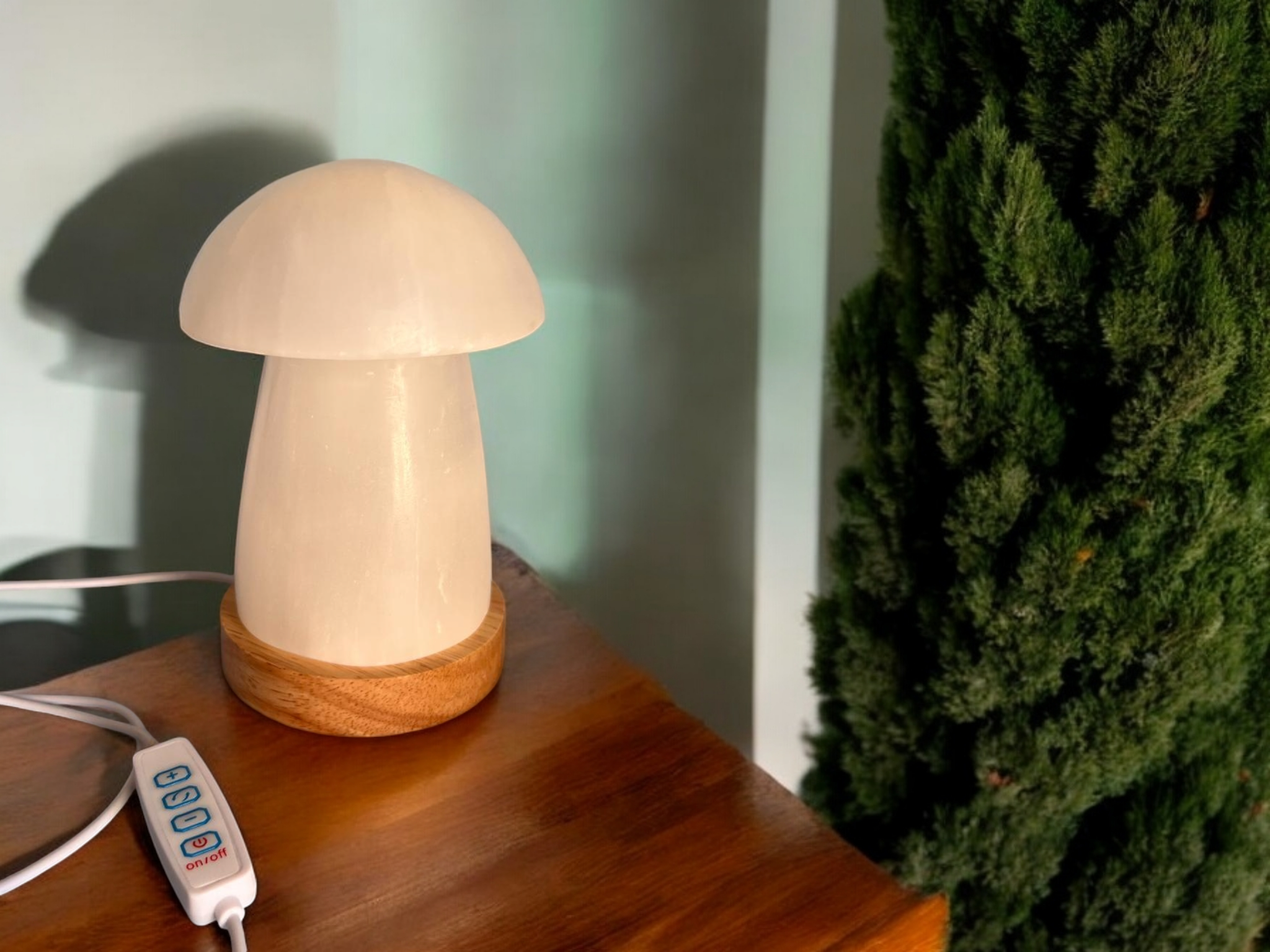 Selenite Crystal Mushroom Lamp