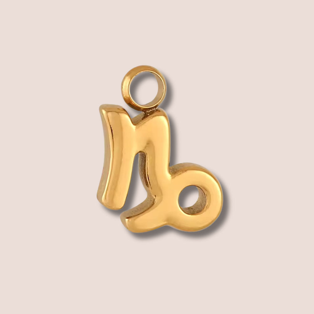 Capricorn gold charm