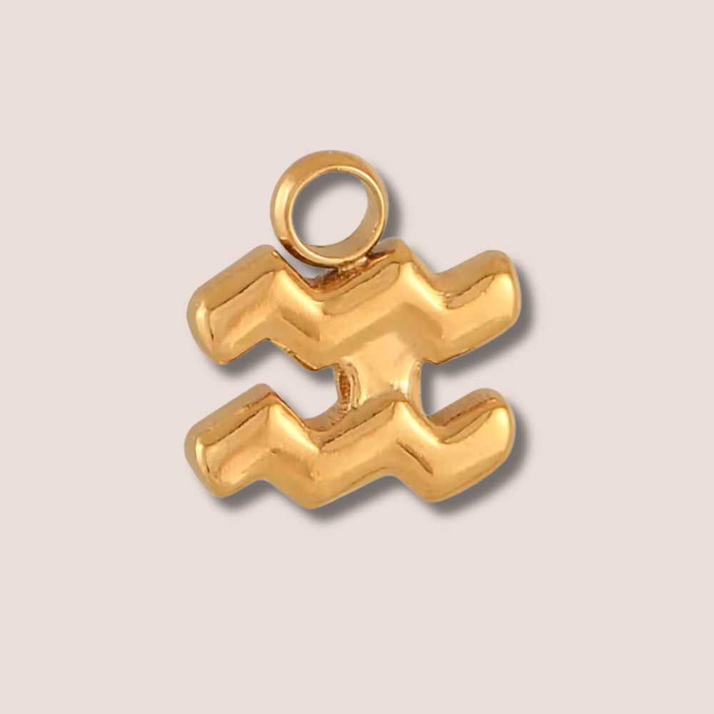 Aquarius gold charm