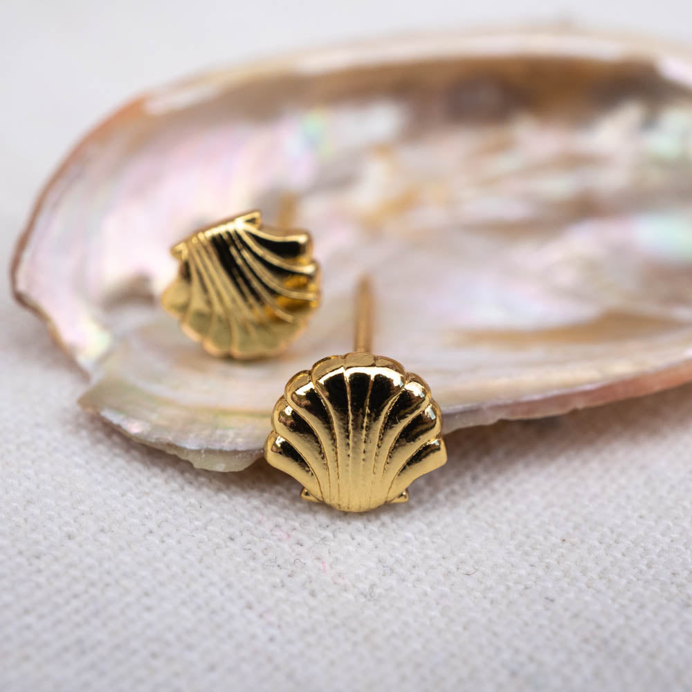 Gold Seashell studs
