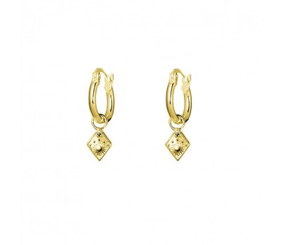 Farrah Gold hoops